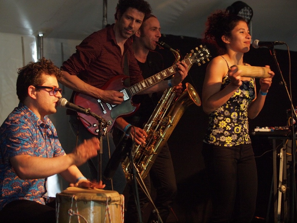 pixvae-haarlem-hout-2016-c-ton-maas